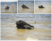 Превью фото № 188317