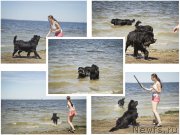 Превью фото № 188325