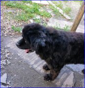 Превью фото № 188340