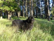 Превью фото № 188447