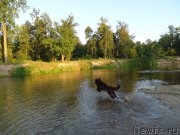 Превью фото № 188453