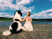 Превью фото № 188481