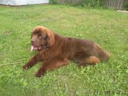 Превью фото № 188489