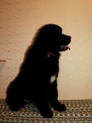 Превью фото № 188498