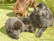 Превью фото № 188511