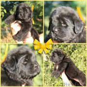 Превью фото № 188575