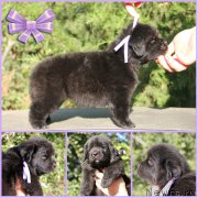 Превью фото № 188578