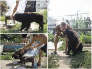 Превью фото № 188645