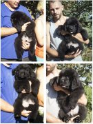 Превью фото № 188667