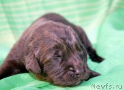 Превью фото № 188745