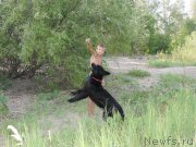 Превью фото № 188754