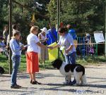 Превью фото № 18877