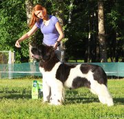 Превью фото № 188797