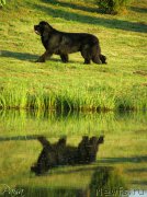 Превью фото № 188808