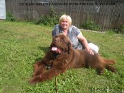 Превью фото № 188815