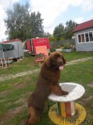 Превью фото № 188816