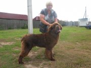 Превью фото № 188818