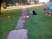 Превью фото № 188819