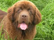 Превью фото № 188821