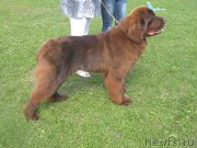 Превью фото № 188822