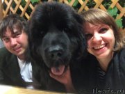 Превью фото № 188824