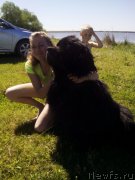 Превью фото № 188829