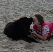 Превью фото № 188831