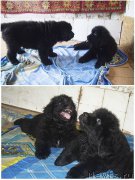 Превью фото № 189063