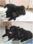 Превью фото № 189064