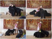 Превью фото № 189077