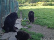 Превью фото № 189081