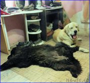 Превью фото № 189082