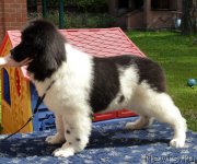 Превью фото № 189148