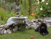 Превью фото № 189159