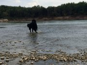 Превью фото № 189170