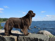 Превью фото № 189179