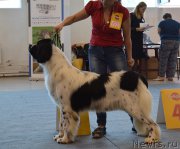 Превью фото № 189181