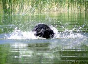 Превью фото № 189187