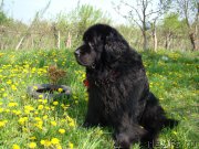 Превью фото № 189194