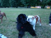 Превью фото № 189196