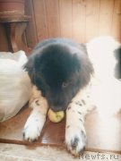 Превью фото № 189202