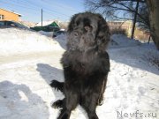 Превью фото № 189223