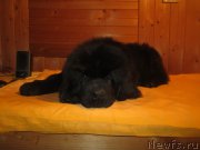 Превью фото № 189263