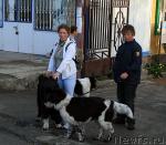 Превью фото № 18934