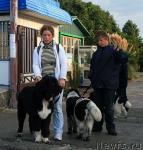 Превью фото № 18935