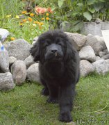 Превью фото № 189507