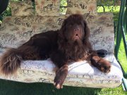 Превью фото № 189515