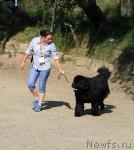 Превью фото № 18955