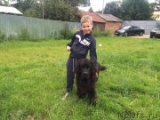 Превью фото № 189551