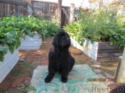 Превью фото № 189553